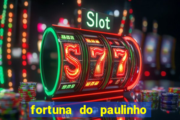 fortuna do paulinho do roupa nova